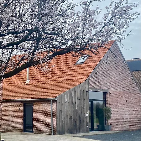 Hoeve De Kleinheide Dessel Exterior photo